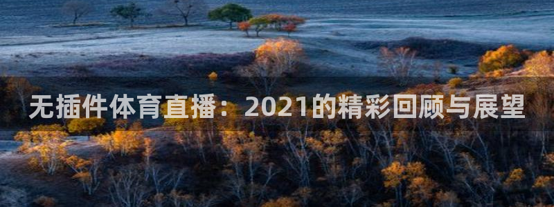 lqtv乐球直播app下载：无插件体育直播：2021的精彩回顾与展望
